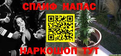 каннабис Сланцы