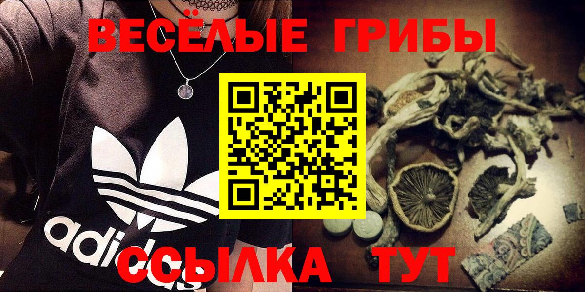 Галлюциногенные грибы мицелий  Вход с VPN  Галлюциногенные грибы Psilocybine cubensis  Нижневартовск 