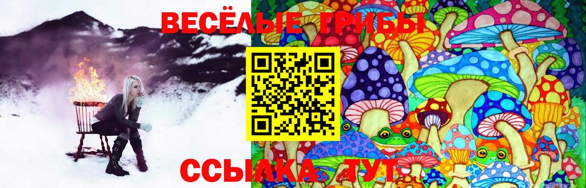 Галлюциногенные грибы Cubensis Нижневартовск